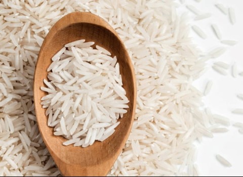 قیمت خرید برنج چمپا شوشتر + فروش ویژه